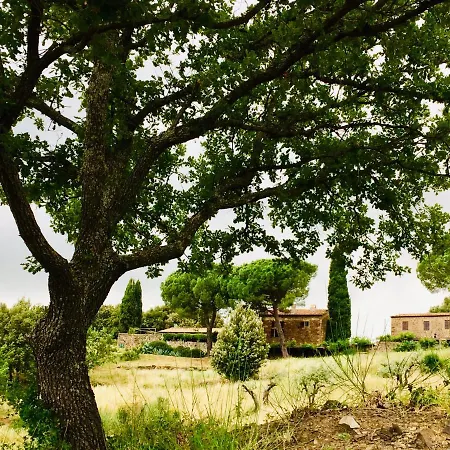 Nocini Di Maremma * Tatti