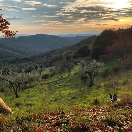 Nocini Di Maremma