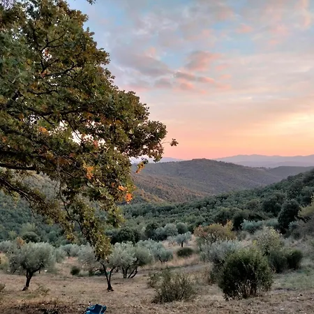 Nocini Di Maremma