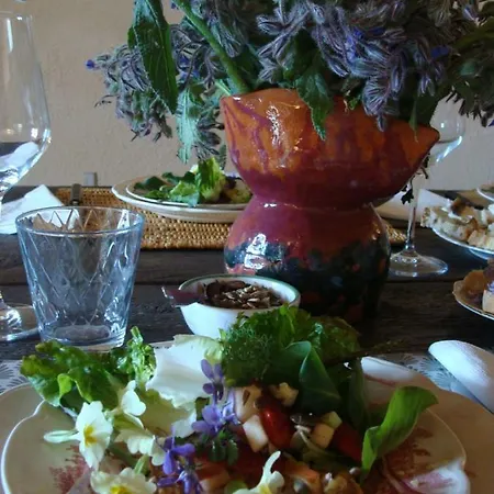 Agroturismo Nocini Di Maremma *