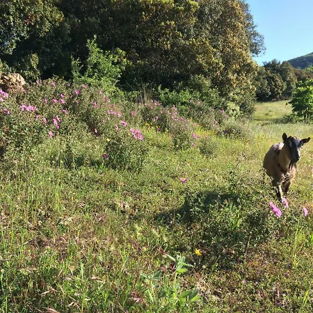 Nocini Di Maremma Agroturismo *