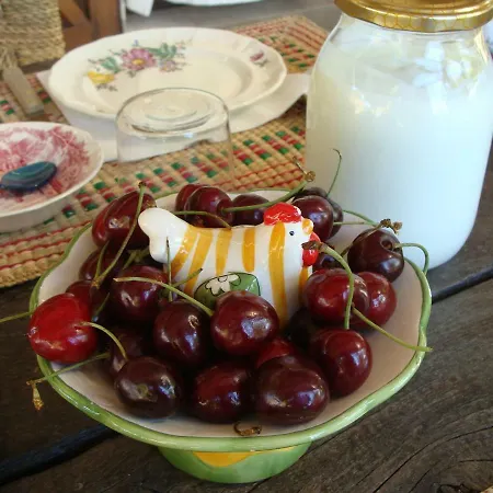 Nocini Di Maremma * Tatti