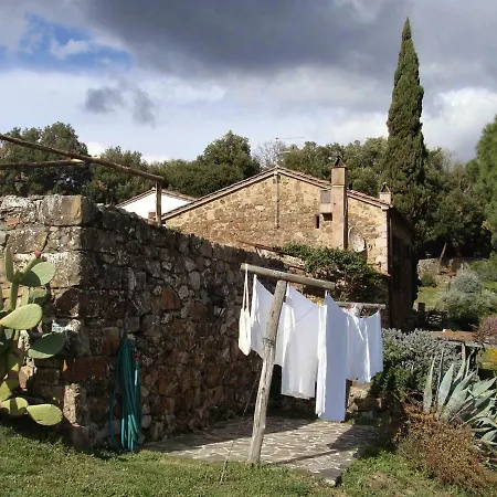 Nocini Di Maremma Tatti