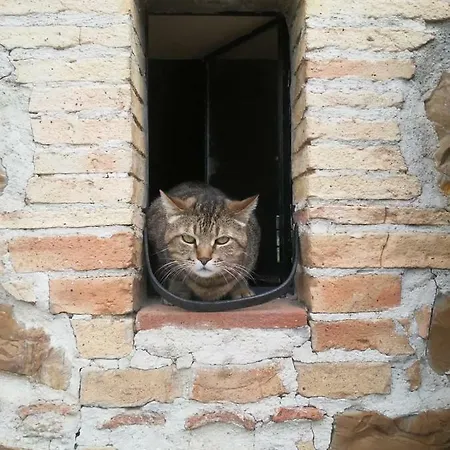 Nocini Di Maremma *