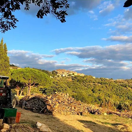 Gospodarstwo agroturystyczne Nocini Di Maremma Tatti