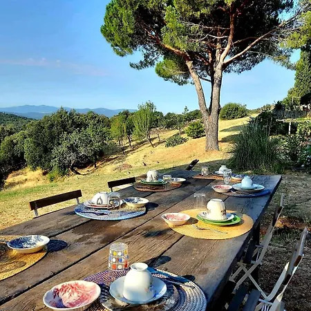 Nocini Di Maremma * Tatti