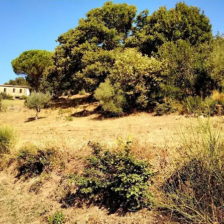 Nocini Di Maremma Gospodarstwo agroturystyczne Tatti