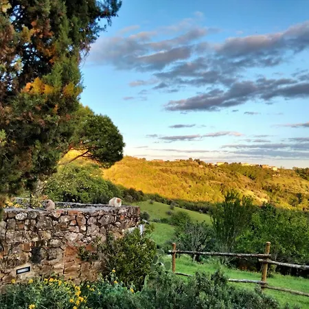 Nocini Di Maremma * Tatti