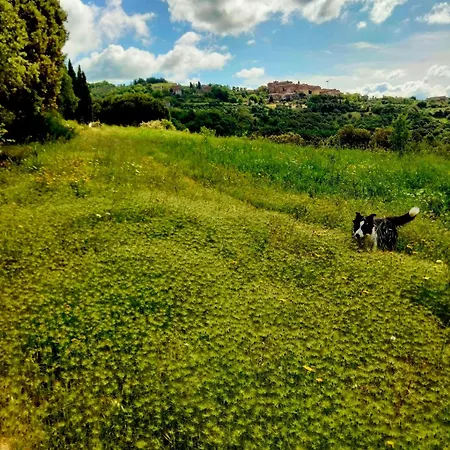 Nocini Di Maremma Gospodarstwo agroturystyczne *
