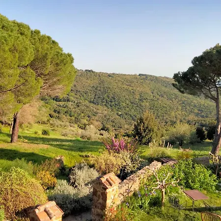Nocini Di Maremma Tatti
