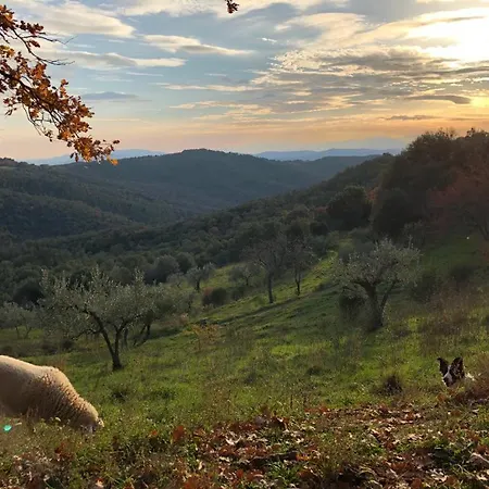 Nocini Di Maremma Alojamento de Turismo Rural